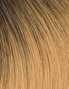 Extension Adhésive Invisible Ombré Hair Noir / cendré 2