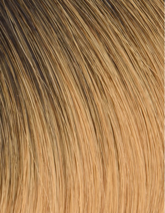 Extension Adhésive Invisible Ombré Hair Noir / cendré