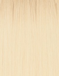 10 Extensions Tape Hair Blond Miel ombré hair sur Cheveux Naturel