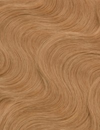 Extension Adhésive Ondulé – Cheveu Naturel Chatain Remy Hair - EXTENS HAIR