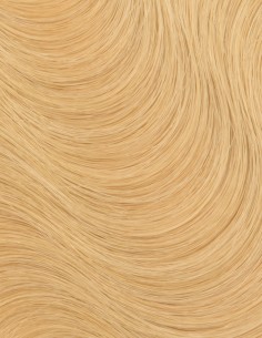 Extension Adhésive - Cheveu Ondulé Naturel Blond Caramel 100% Remy Hair, Extens Hair 2