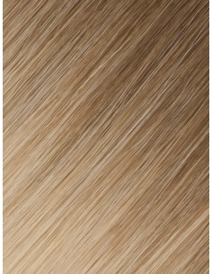 Tape Haarverlängerung Skin Weft Lange 60 cm - Ombré Ashy Latte Echthaar 9A+ 2