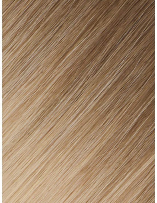 Tape Haarverlängerung Skin Weft Lange 60 cm - Ombré Ashy Latte Echthaar 9A+