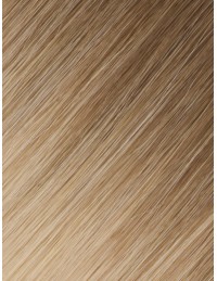 Extension Adhésive Monobande Ombré Latte Cendré 60 cm - Naturel 9A+ Extension Adhésive Monobande Ombré Latte Cendré 60 cm - Naturel 9A+
