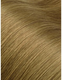 extensions à la kératine Brun Cendré