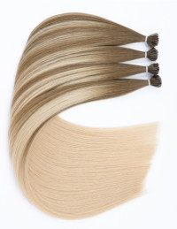 Extension Kératine 9A/60A : ombré sable cendré 25 g 50 cm