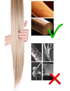 Gewellte Tape Extensions 50 cm aus Premium Remy Echthaar – Golden Beige Blonde #16 2