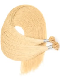 Bonding Extension Echthaar Ashy Beige Blond