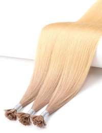 Extension kératine Pro Ombré Cendré Blond Clair - depuis 2012